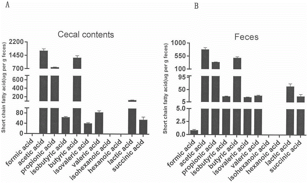 GC-MS (gas chromatography-mass spectrometer)-based method for quantifying eleven types of short-chain fatty acids in intestinal contents and fecal samples