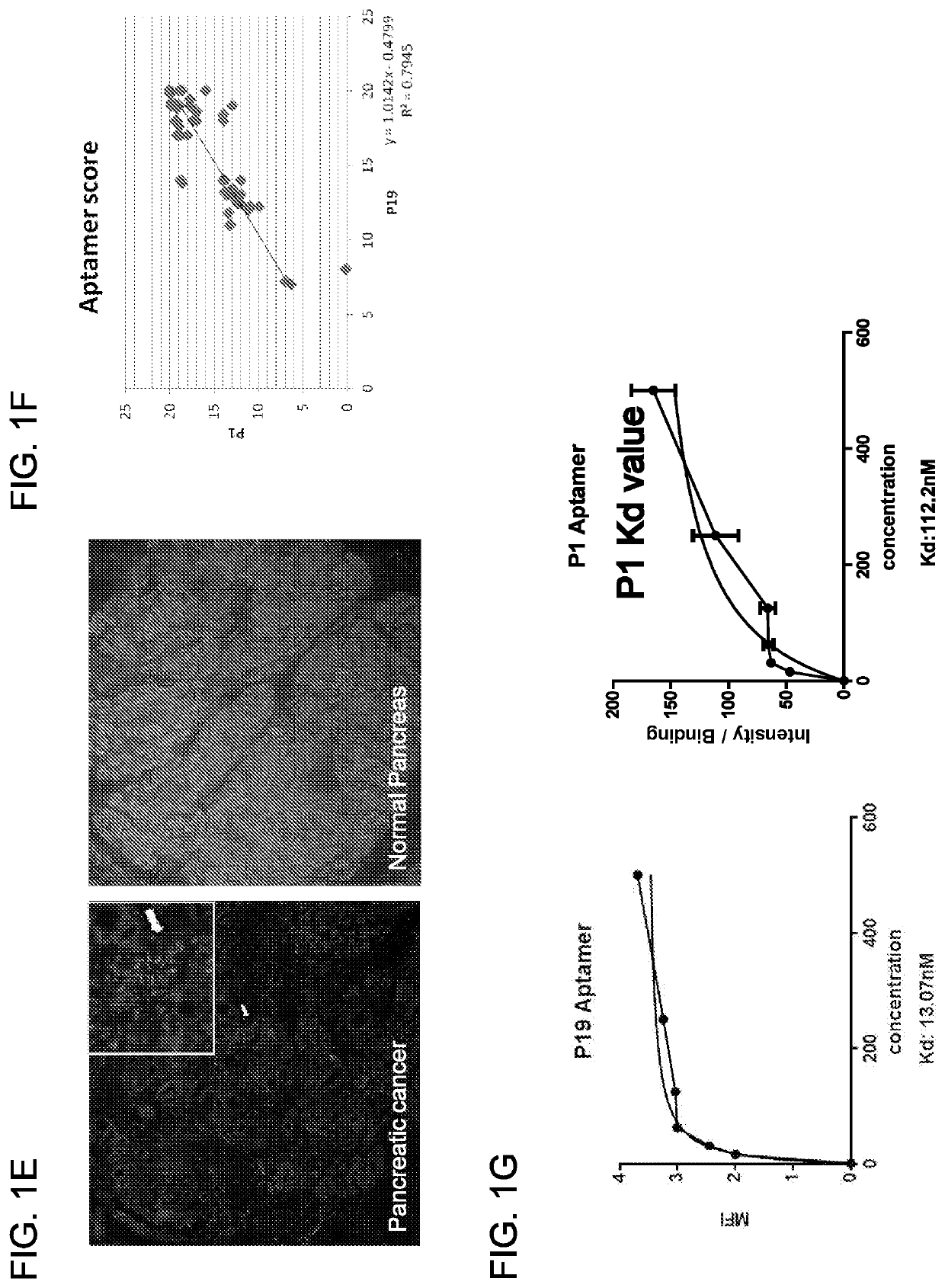 Anti-cancer RNA aptamers