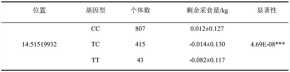 SNP molecular marker related to residual feed intake of pigs and application thereof