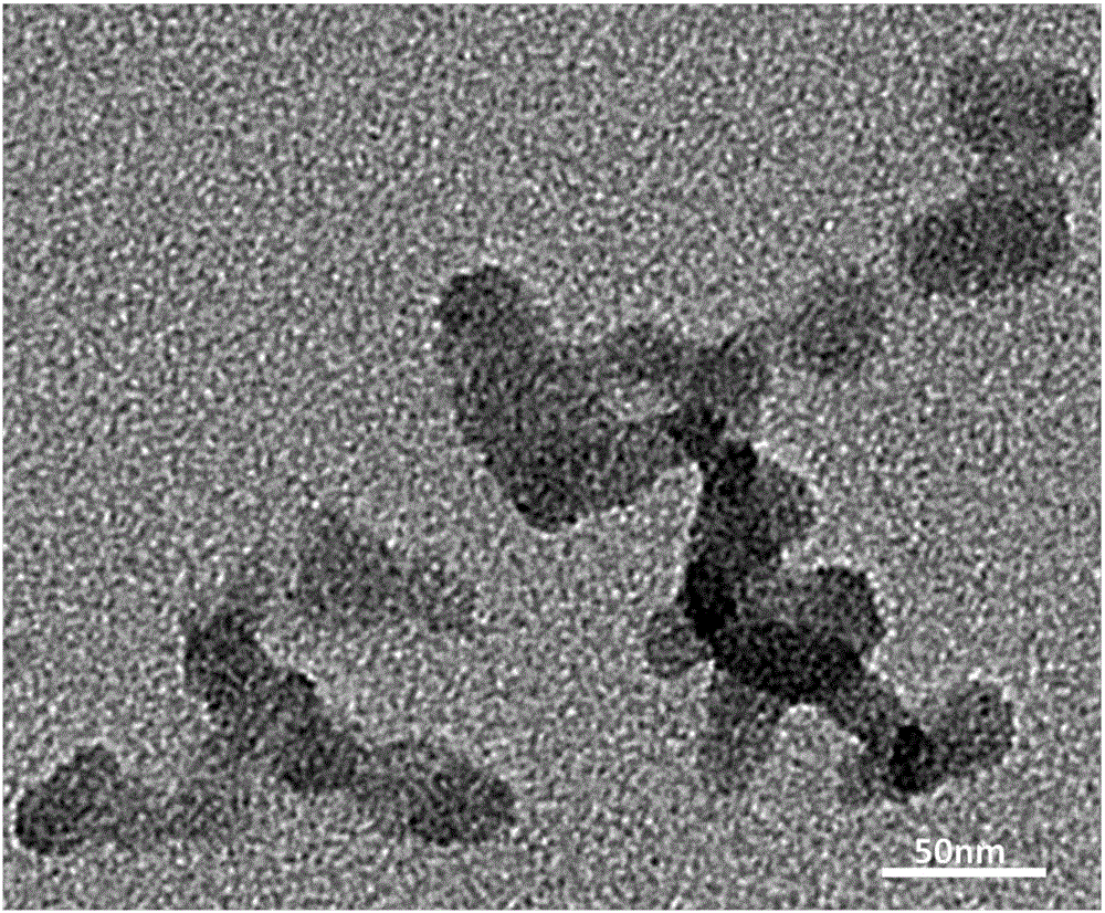 Composite catalyst for decomposing ozone and preparation method of composite catalyst