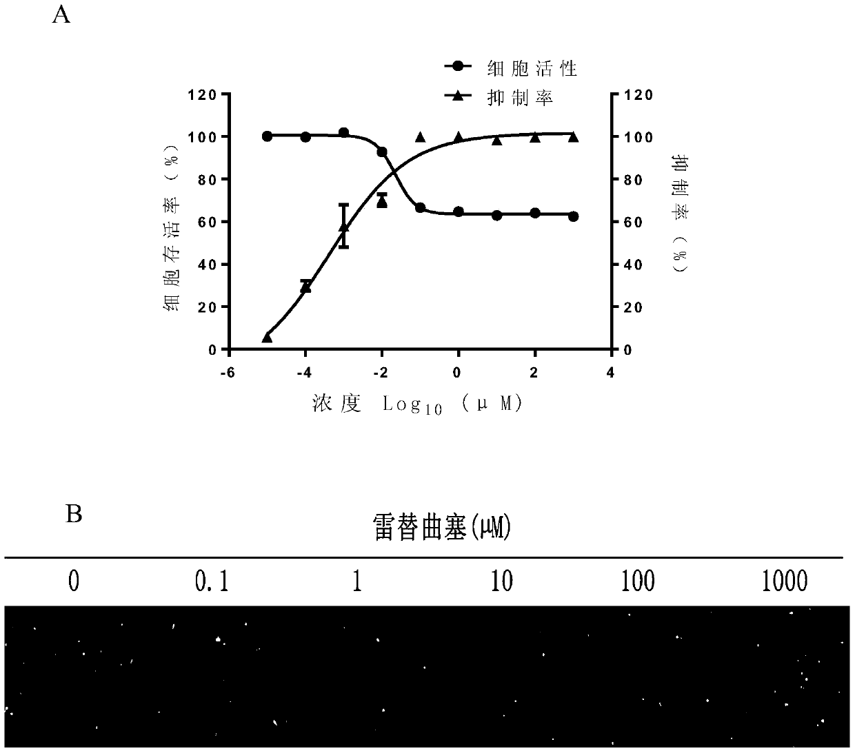 Application of raltitrexed or pharmaceutically acceptable salt thereof in preparation of medicine for treating or preventing herpes virus infection