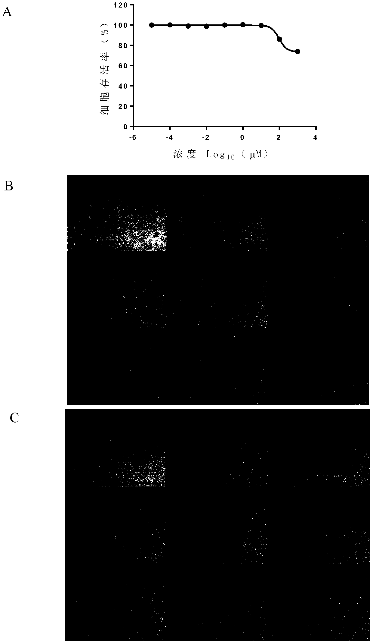 Application of raltitrexed or pharmaceutically acceptable salt thereof in preparation of medicine for treating or preventing herpes virus infection