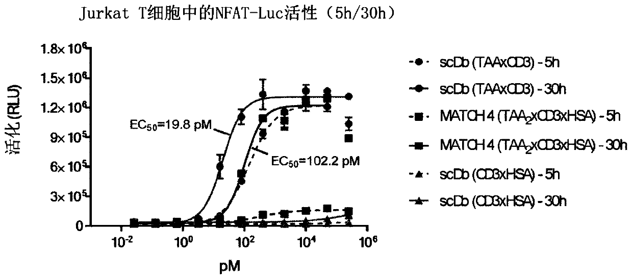 Hetero-dimeric multi-specific antibody format targeting at least cd3 and hsa