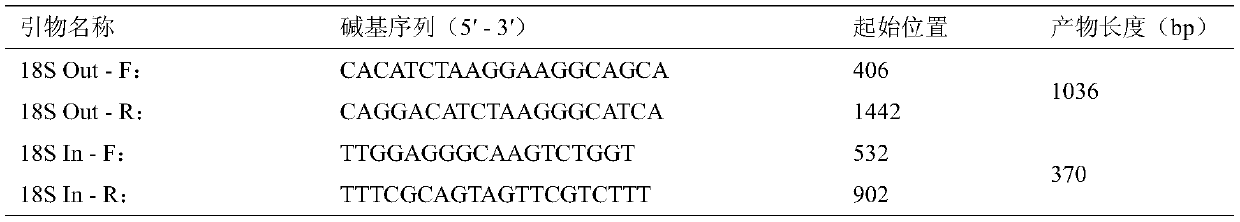 Nested PCR detection method for equine piroplasmosis