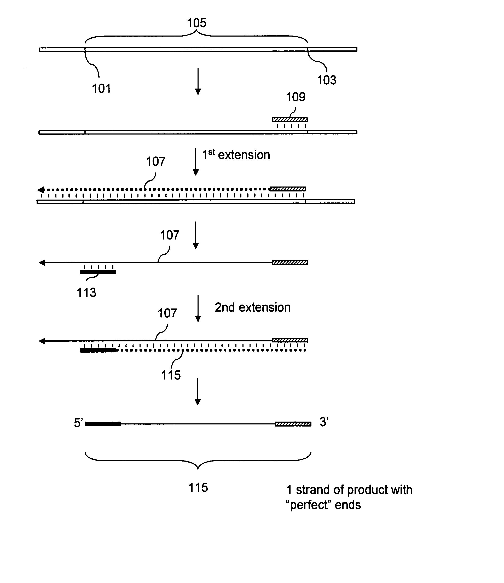 Methods of Analysis of Methylation