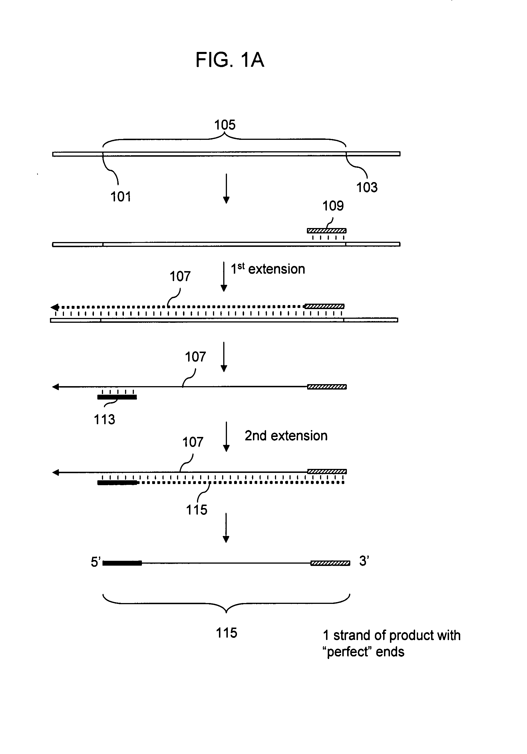 Methods of Analysis of Methylation