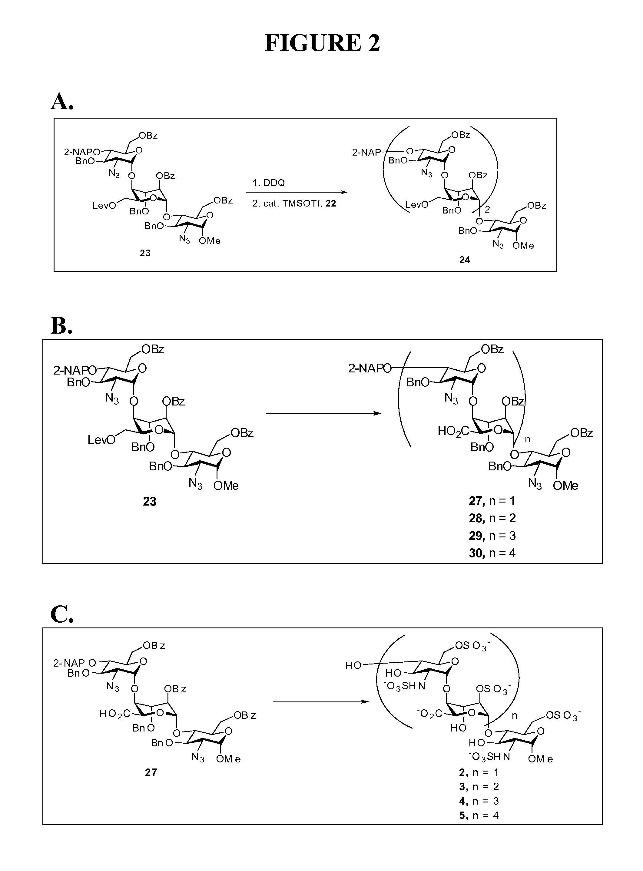 Heparin Oligosaccharides