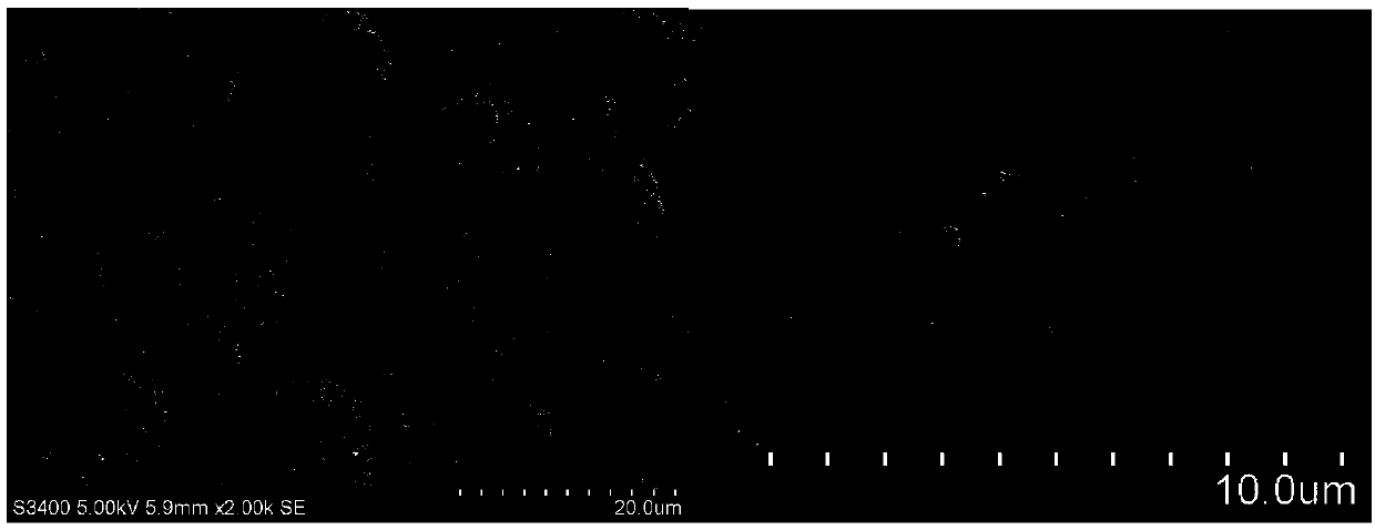 Absorbable starch microsphere hemostatic powder with antibacterial activity and application thereof