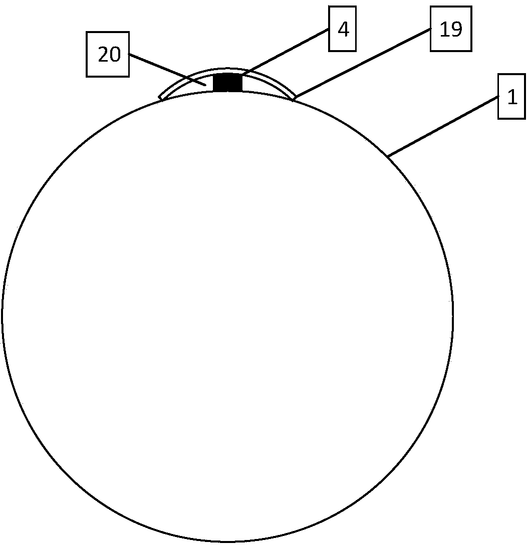 High-temperature superconducting magnet online monitoring system