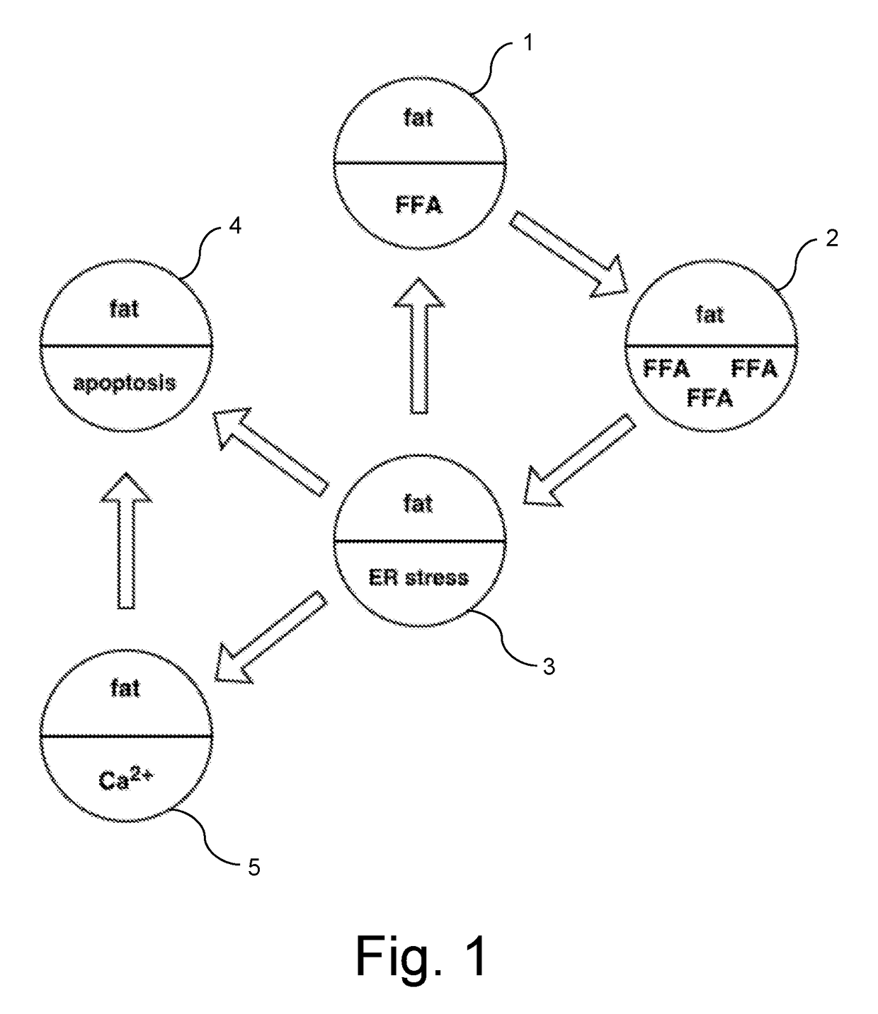 Aesthetic methods of biological structure treatment by magnetic field