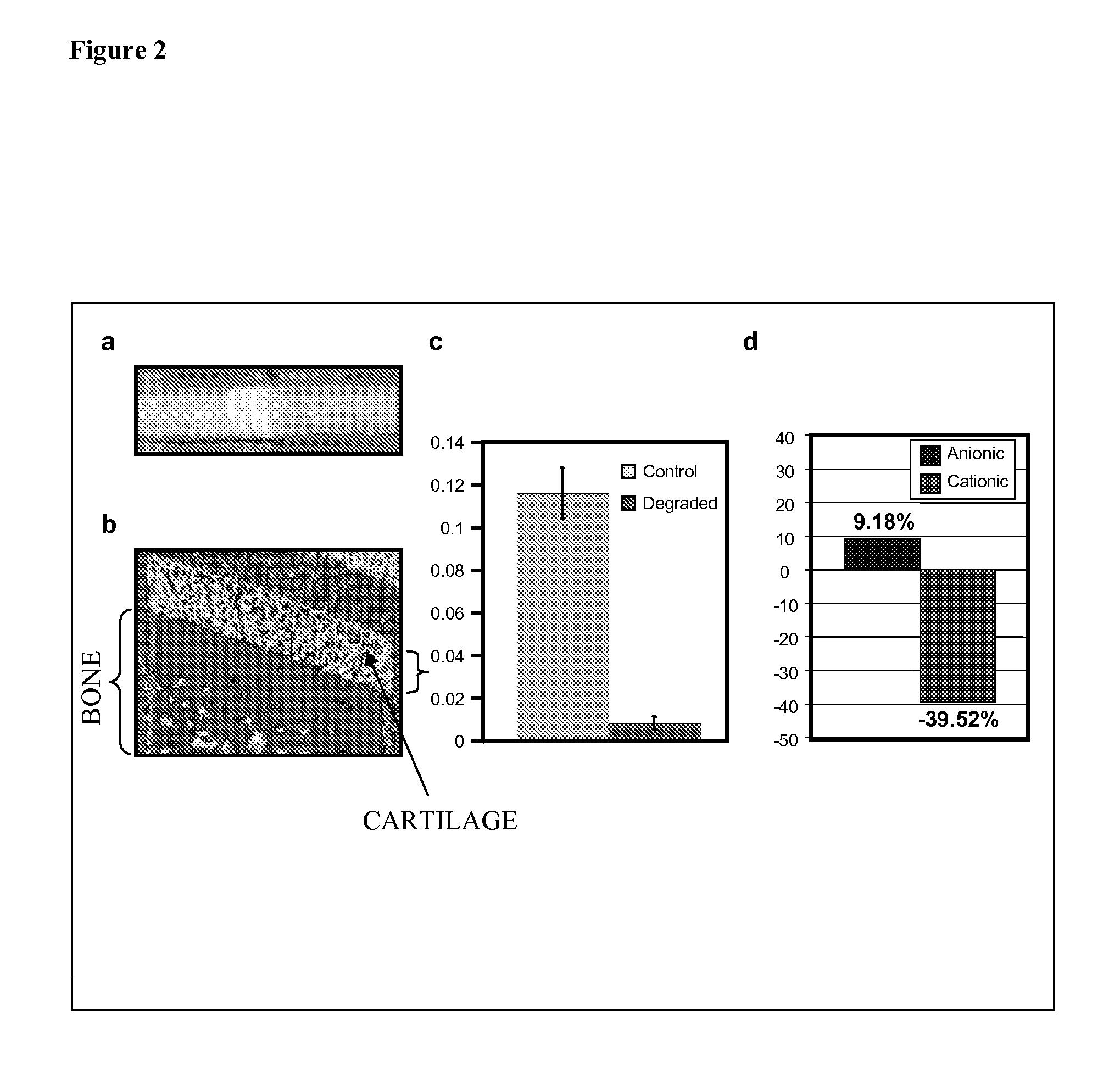 Cationic Contrast Agents and Methods of Use Thereof