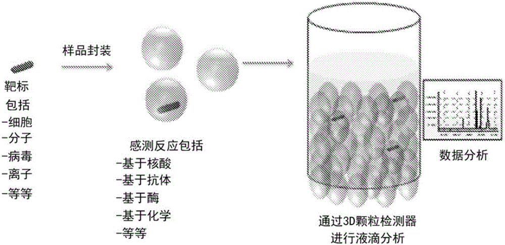 Encapsulated sensors and sensing systems for bioassays and diagnostics and methods for making and using them