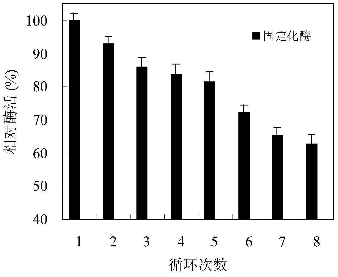 Method for flexibly immobilizing papain by using modified polyacrylonitrile resin