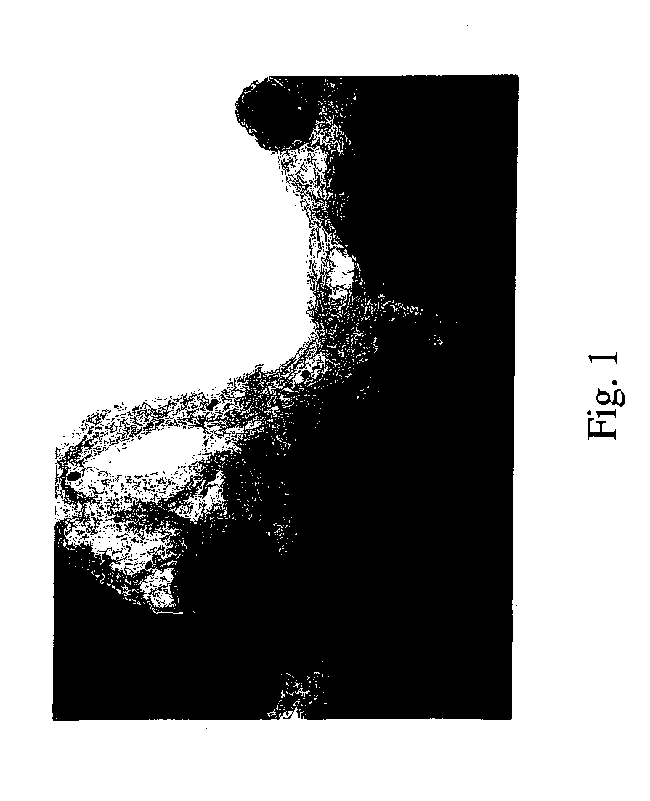 Metallic catalytic particle for producing single-walled carbon nanotubes