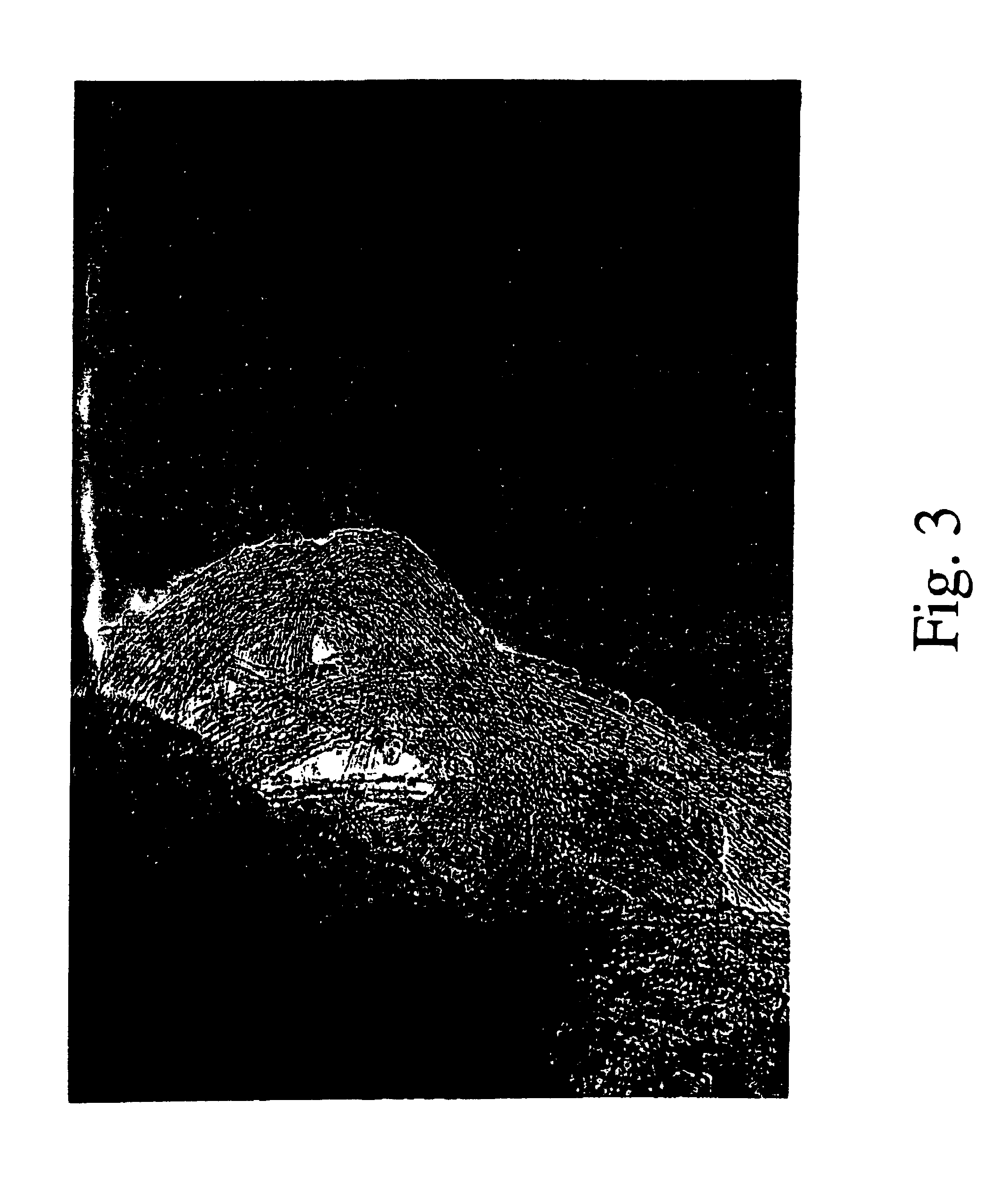 Metallic catalytic particle for producing single-walled carbon nanotubes