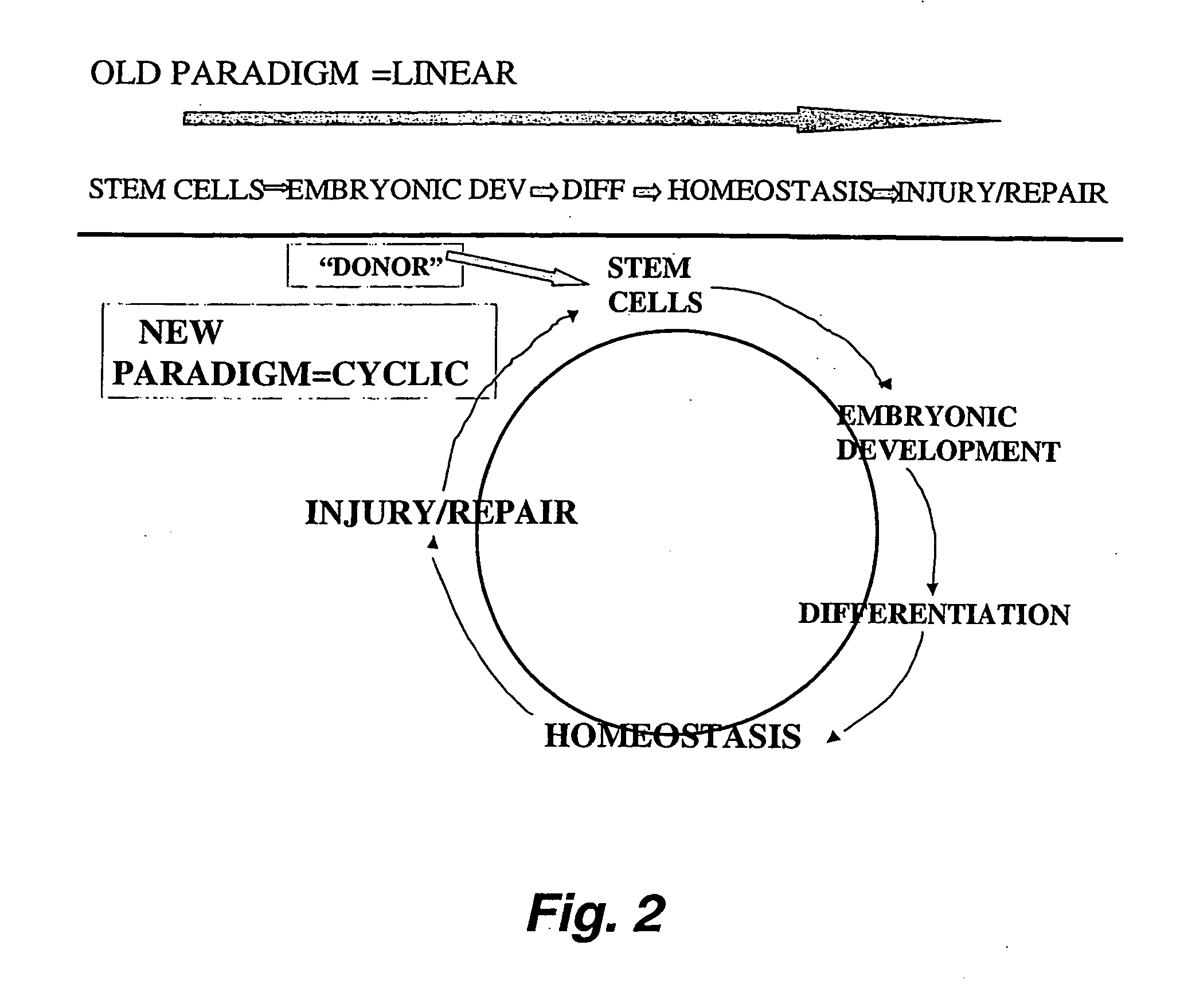 Use of parathyroid hormone-related protein (PTHrP) in the diagnosis and treatment of chronic lung disease and other pathologies