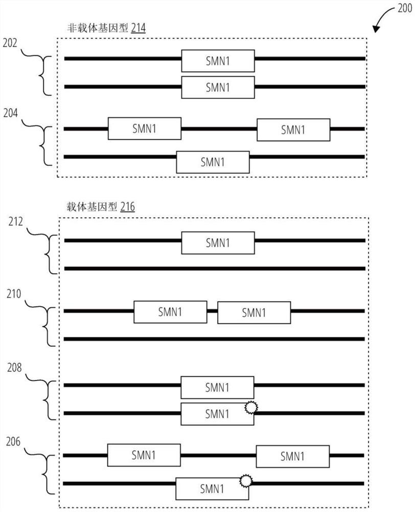 Array based method and kit for determining copy number and genotype in pseudogenes