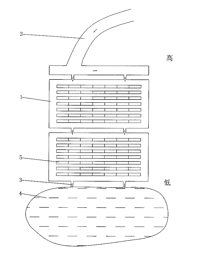 High-yield method for cultivating land mater convolvulus by lake entering river water floating