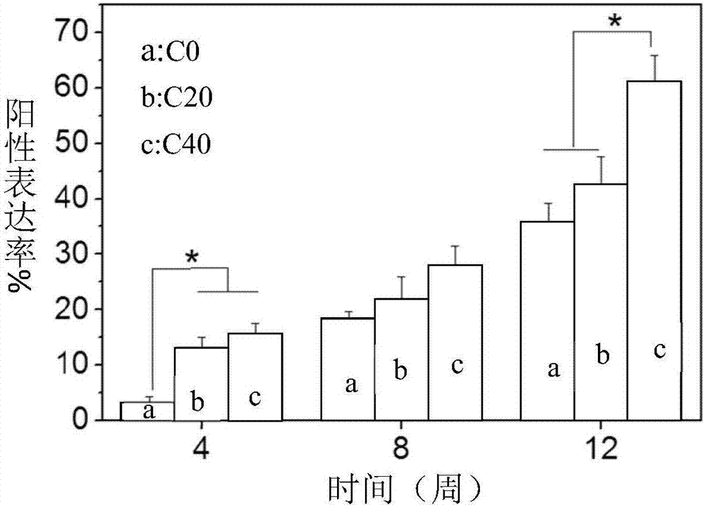 Mesoporous magnesium silicate/polybutylene succinate composite scaffold as well as preparation method and application thereof