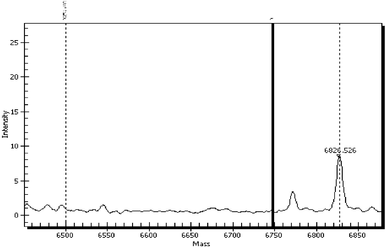 PCR primer combination for adverse reaction genotype polymorphism of statin drugs and application