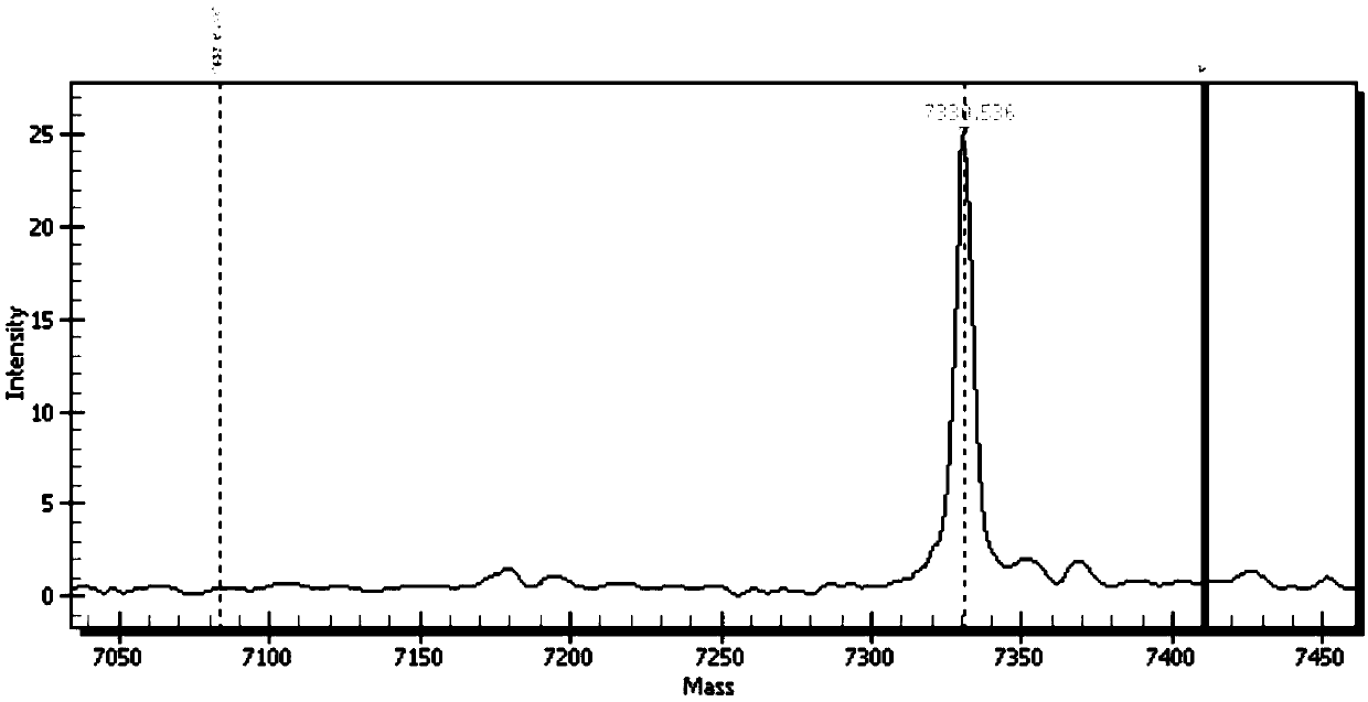 PCR primer combination for adverse reaction genotype polymorphism of statin drugs and application