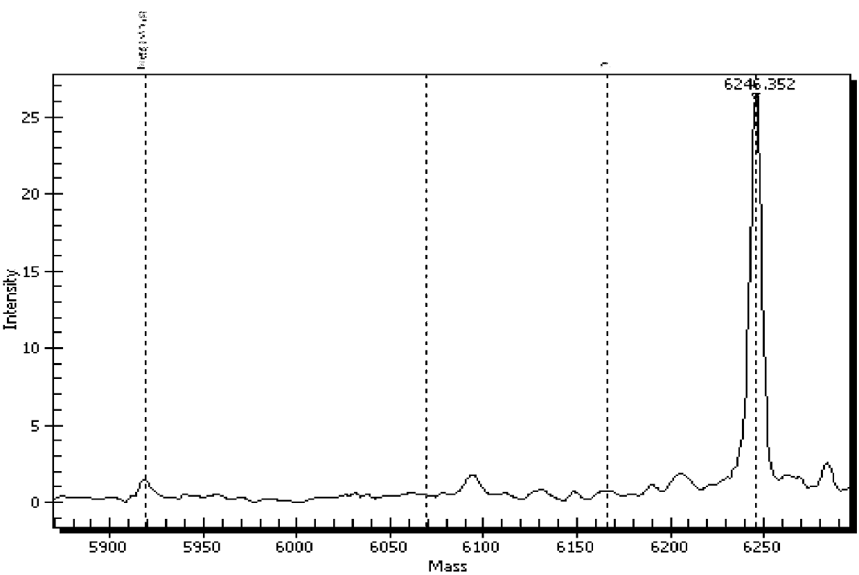 PCR primer combination for adverse reaction genotype polymorphism of statin drugs and application