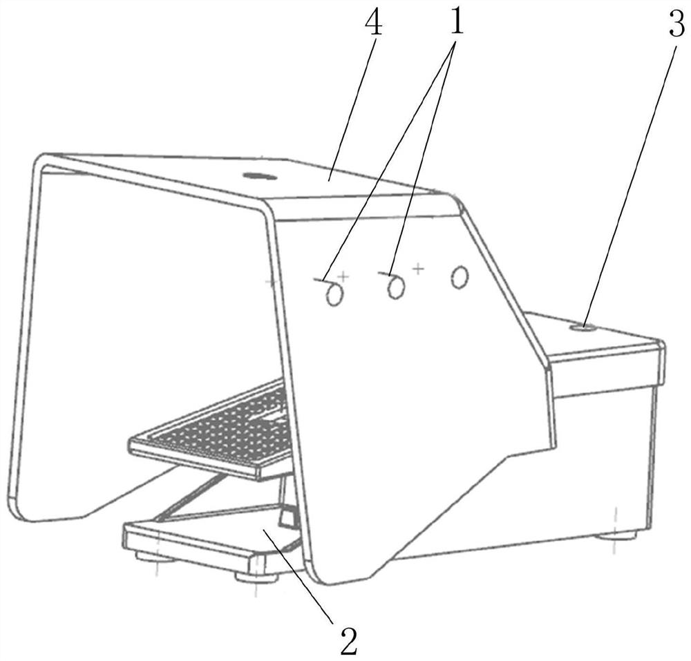 Foot switch mistaken stepping prevention method and foot switch capable of preventing mistaken stepping