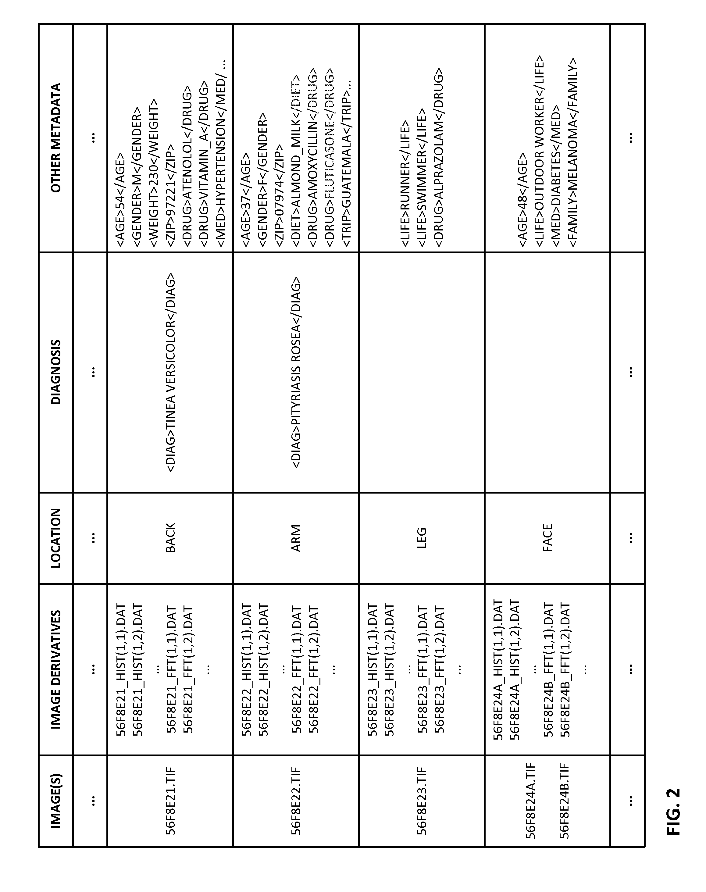 Dermoscopic data acquisition employing display illumination