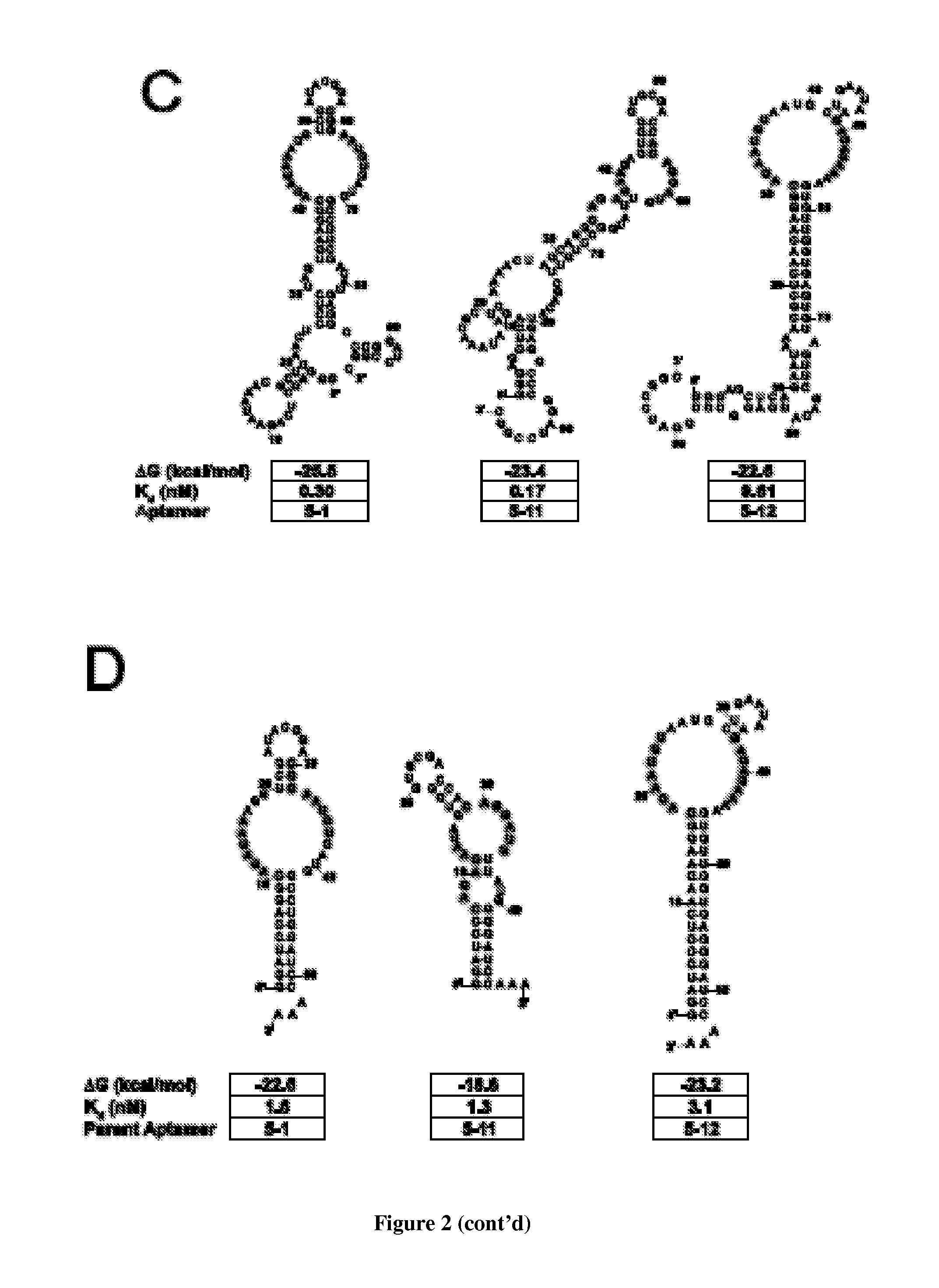 Post-transcriptional regulation of RNA-related processes using encoded protein-binding RNA aptamers