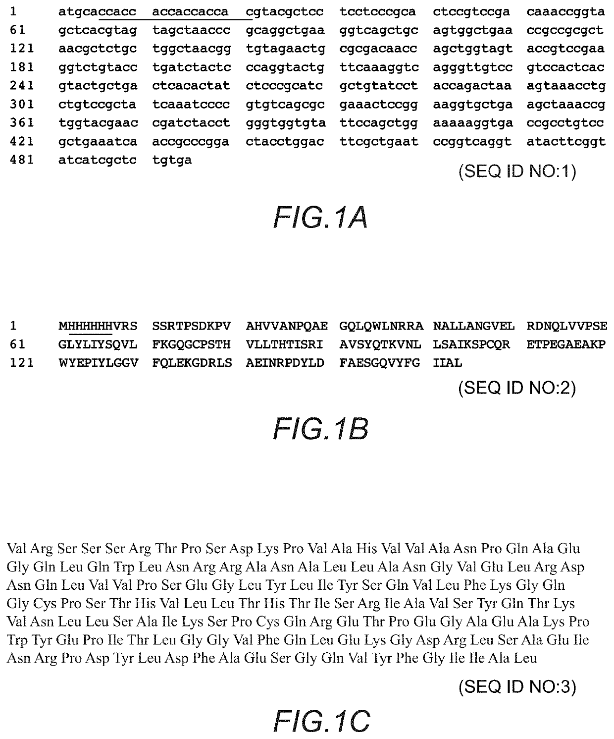 Method for treating complications related to acute or chronic hyperglycemia