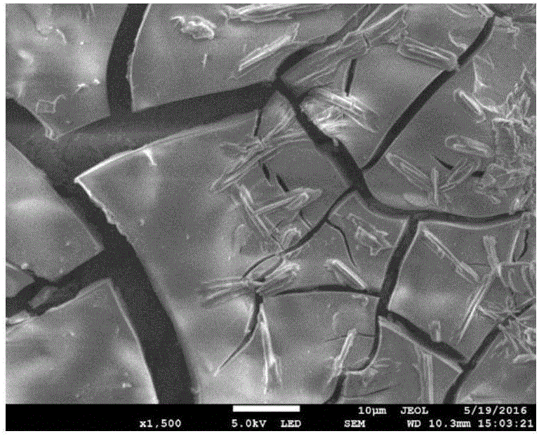 Additive for improving nickel anode catalyst performance of direct borohydride fuel cell