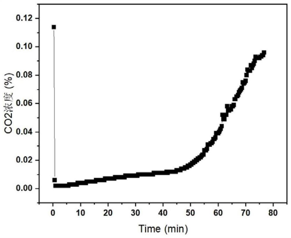 CO2 adsorbent and preparation method thereof