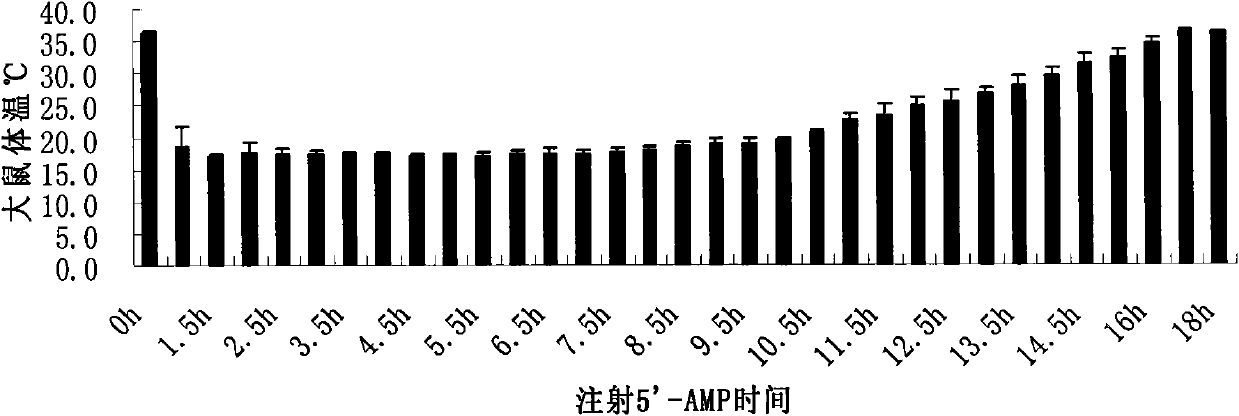 Application of 5'-AMP for treating urarthritis