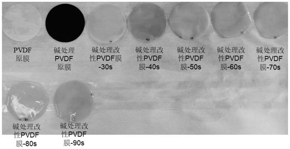 PVDF polymer separation membrane and preparation method thereof