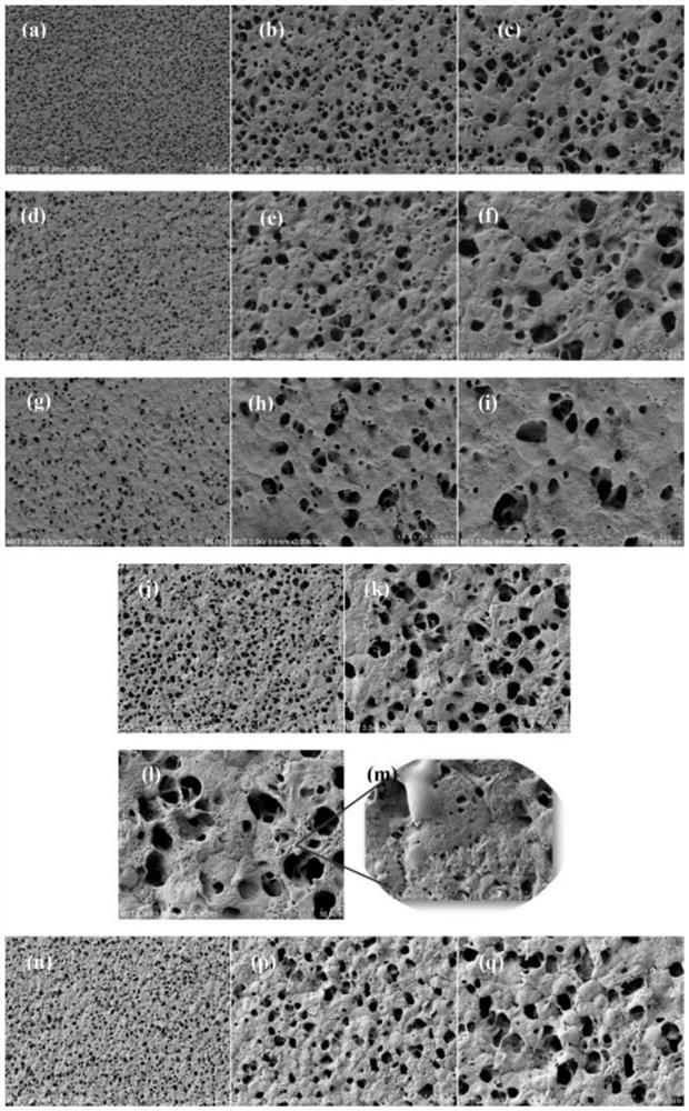 PVDF polymer separation membrane and preparation method thereof