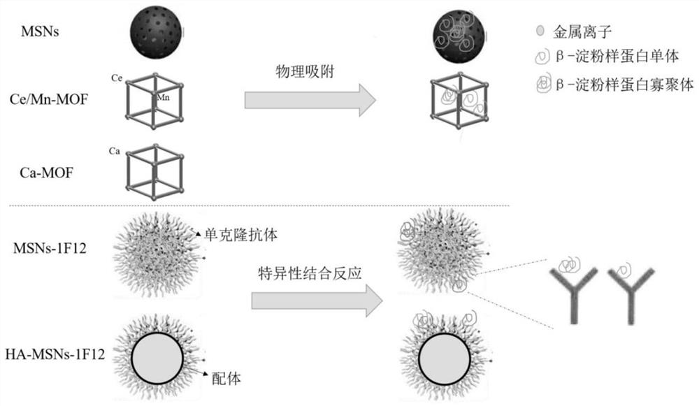 A specific capture carrier for removing β-amyloid protein and its application