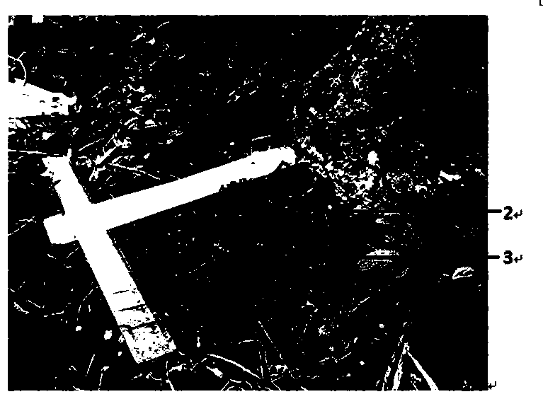 Method for analyzing underground leakage of soil in karst region