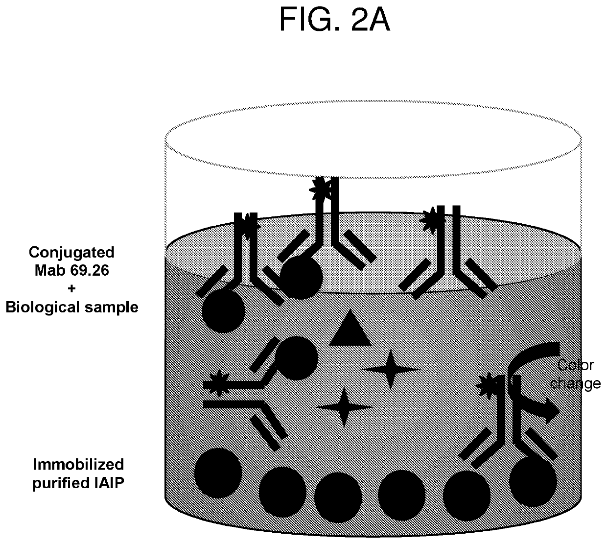 Methods for quantifying inter-alpha inhibitor proteins