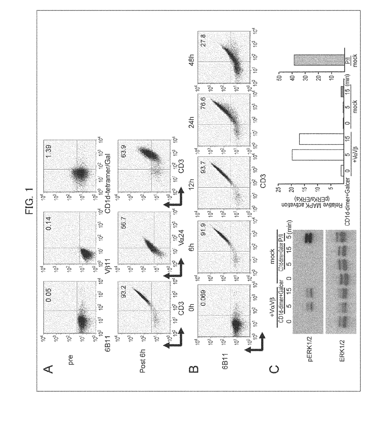 Modified immunocyte, method for producing modified immunocyte and utilization thereof