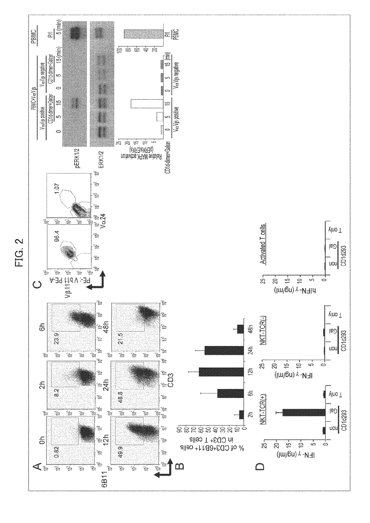 Modified immunocyte, method for producing modified immunocyte and utilization thereof