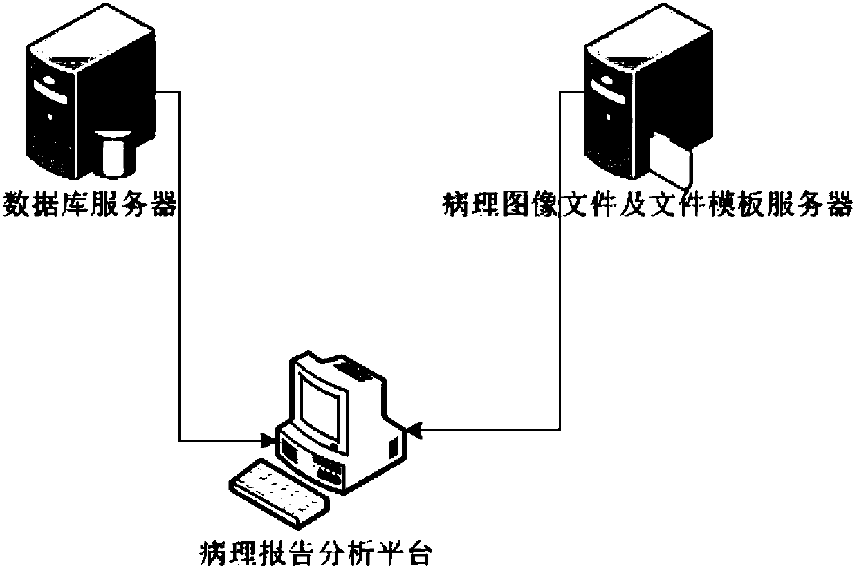 System and method for generating pathological diagnosis report of breast cancer and female reproductive system