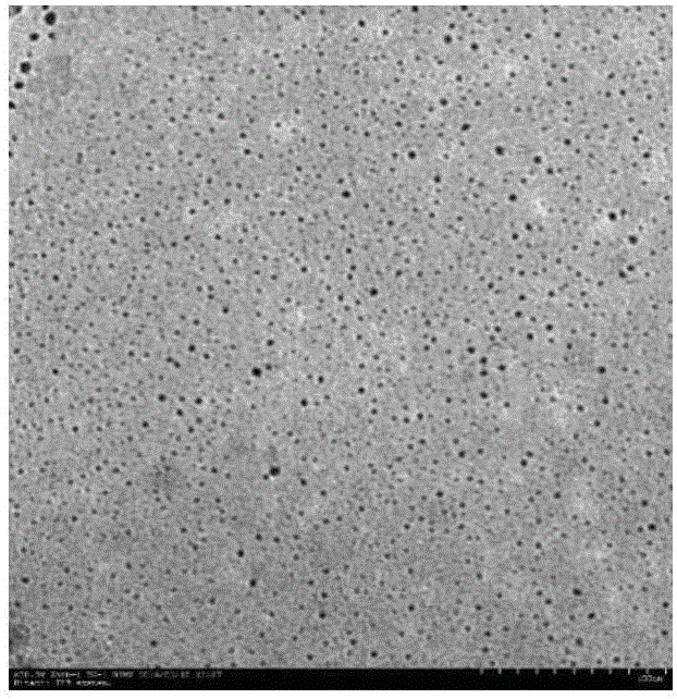 Silicon quantum dot as well as preparation method and application thereof