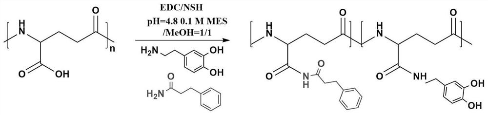 A blood protein responsive γ-polyglutamic acid hydrogel hemostatic material and its preparation method and application