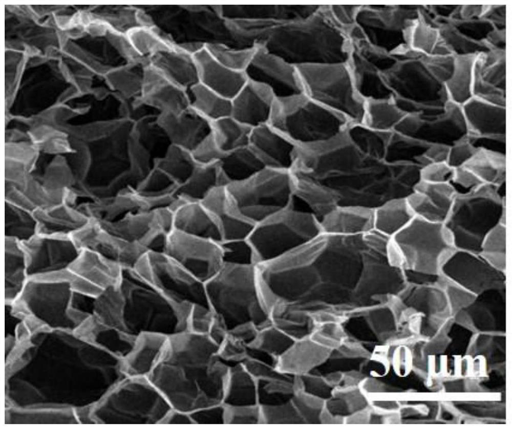 A blood protein responsive γ-polyglutamic acid hydrogel hemostatic material and its preparation method and application