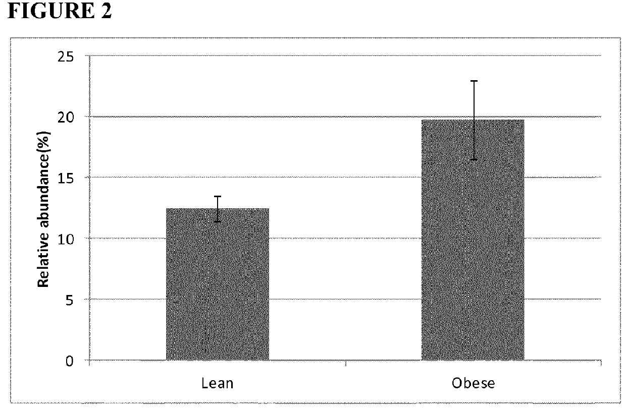 <i>Lachnospiraceae </i>in the gut microbiota and association with body weight