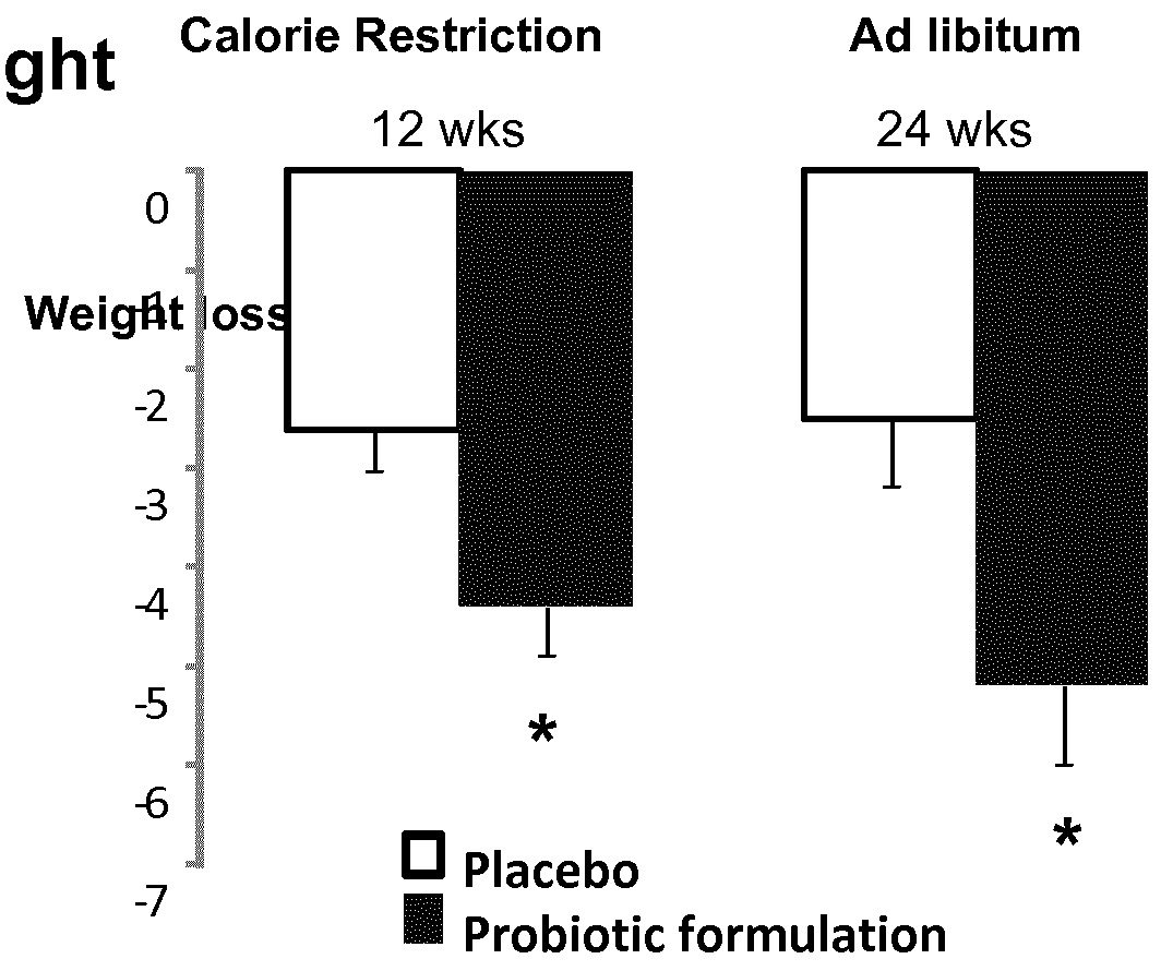 <i>Lachnospiraceae </i>in the gut microbiota and association with body weight