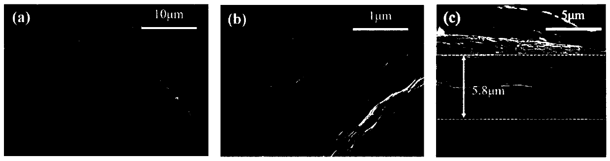 Sulfur/polypyrrole/graphene/carbon nanotube composite film and preparation method and application thereof