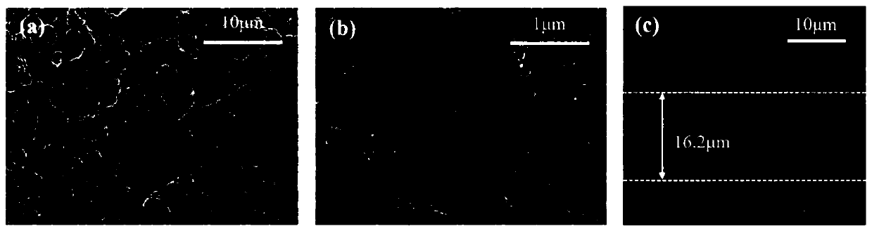 Sulfur/polypyrrole/graphene/carbon nanotube composite film and preparation method and application thereof