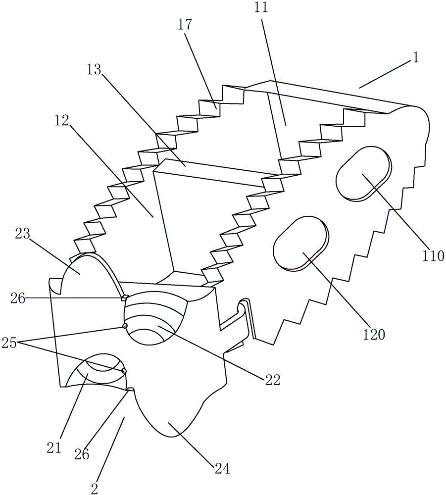 Lumbar interbody fusion fixing device adopting automatic screws for fixing