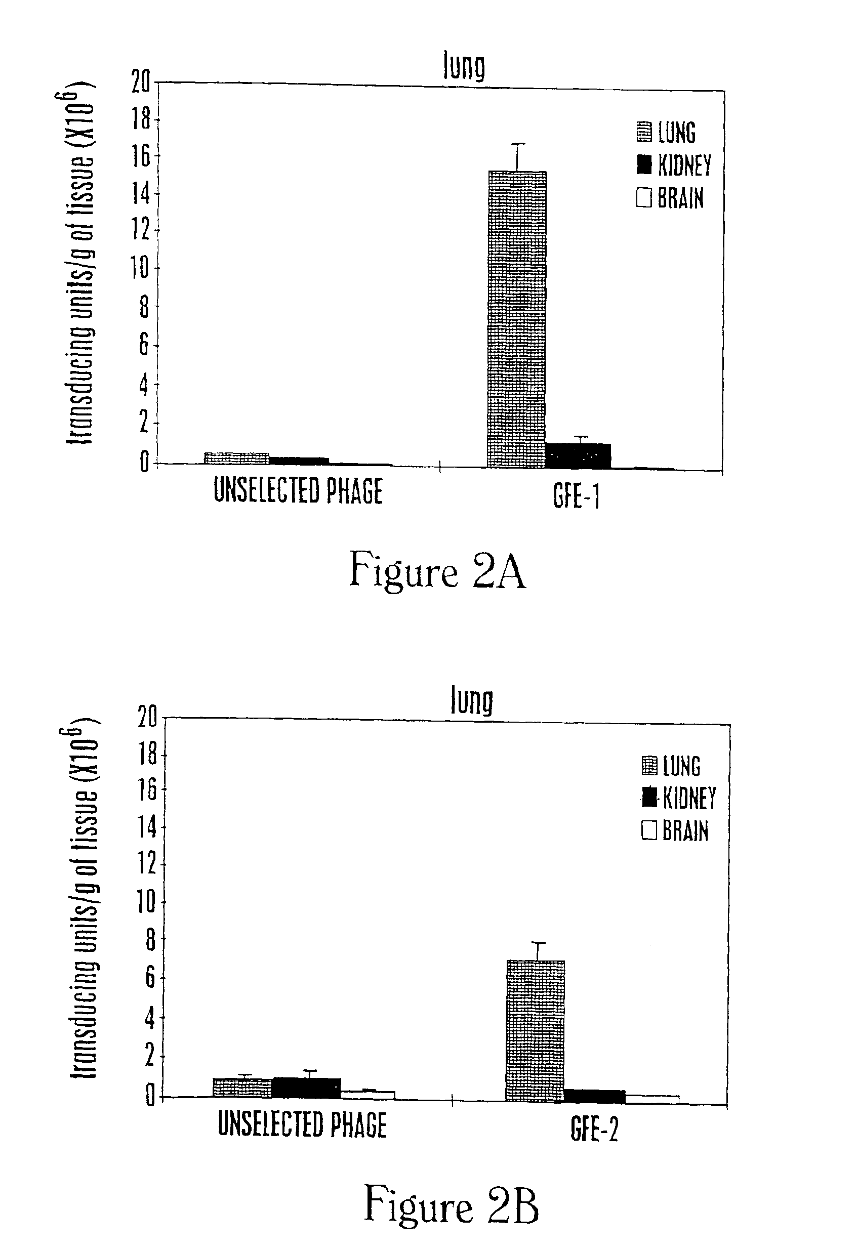 Molecules that home to various selected organs or tissues